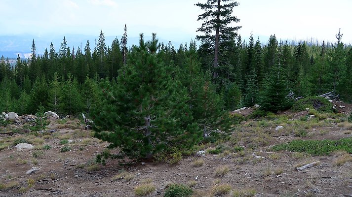 Alpine Lakes High Camp Sept 2025 - 102 copy