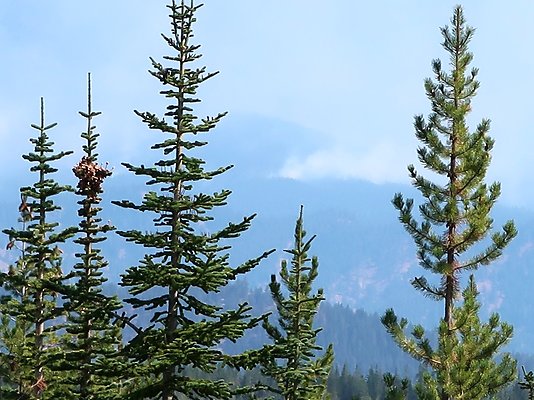 Alpine Lakes High Camp Sept 2025 - 145 copy