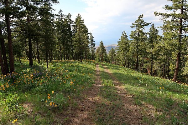 Waterville WA Douglas County - 105 Waterville WA Douglas County - 105