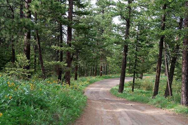 Waterville WA Douglas County - 96 Waterville WA Douglas County - 96