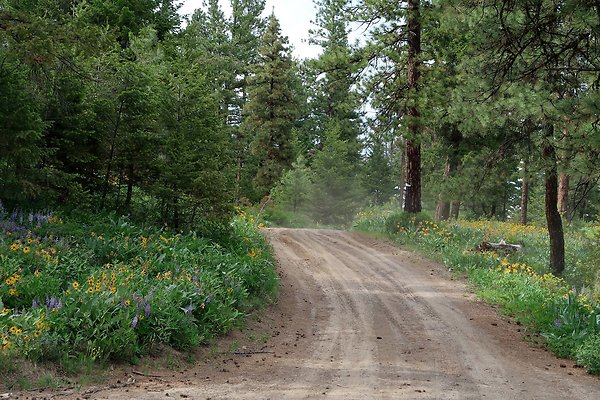 Waterville WA Douglas County - 94 Waterville WA Douglas County - 94