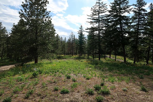 Waterville WA Douglas County - 97 Waterville WA Douglas County - 97